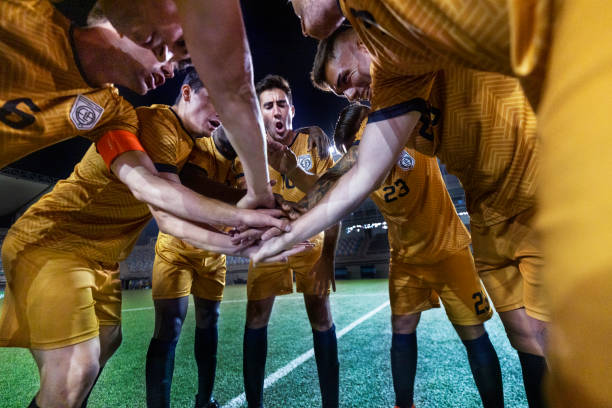 当福法纳半 当福法纳半