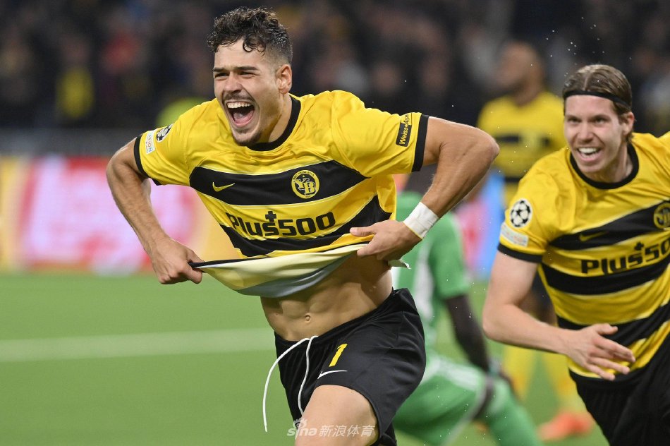 通过稳健的 通过稳健的