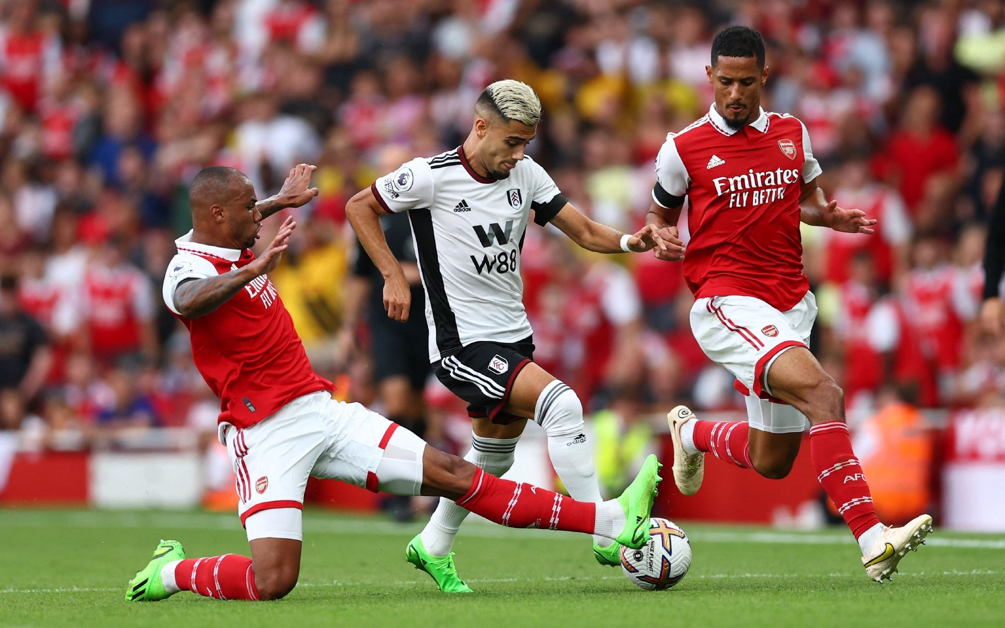 及他在国际 及他在国际